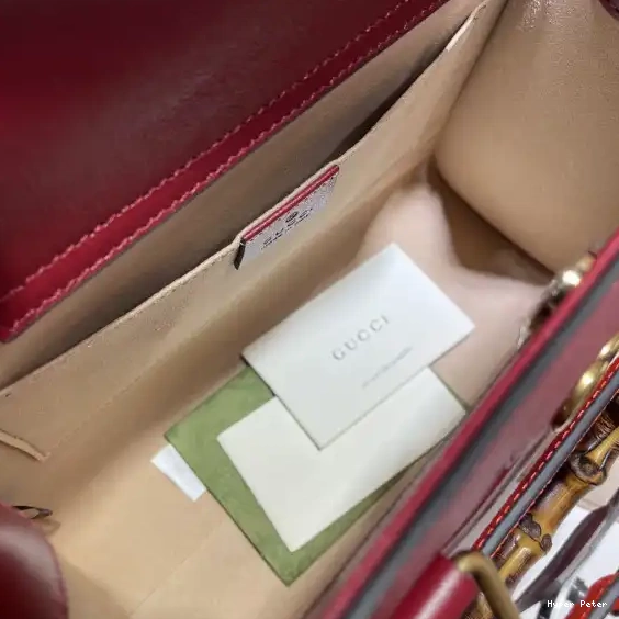 Hyperpeter Diana Gucci small tote bag 0526